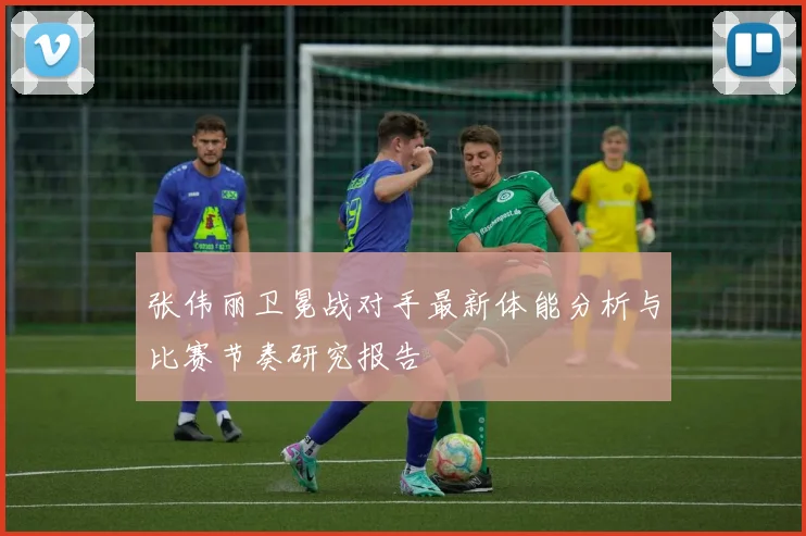 张伟丽卫冕战对手最新体能分析与比赛节奏研究报告